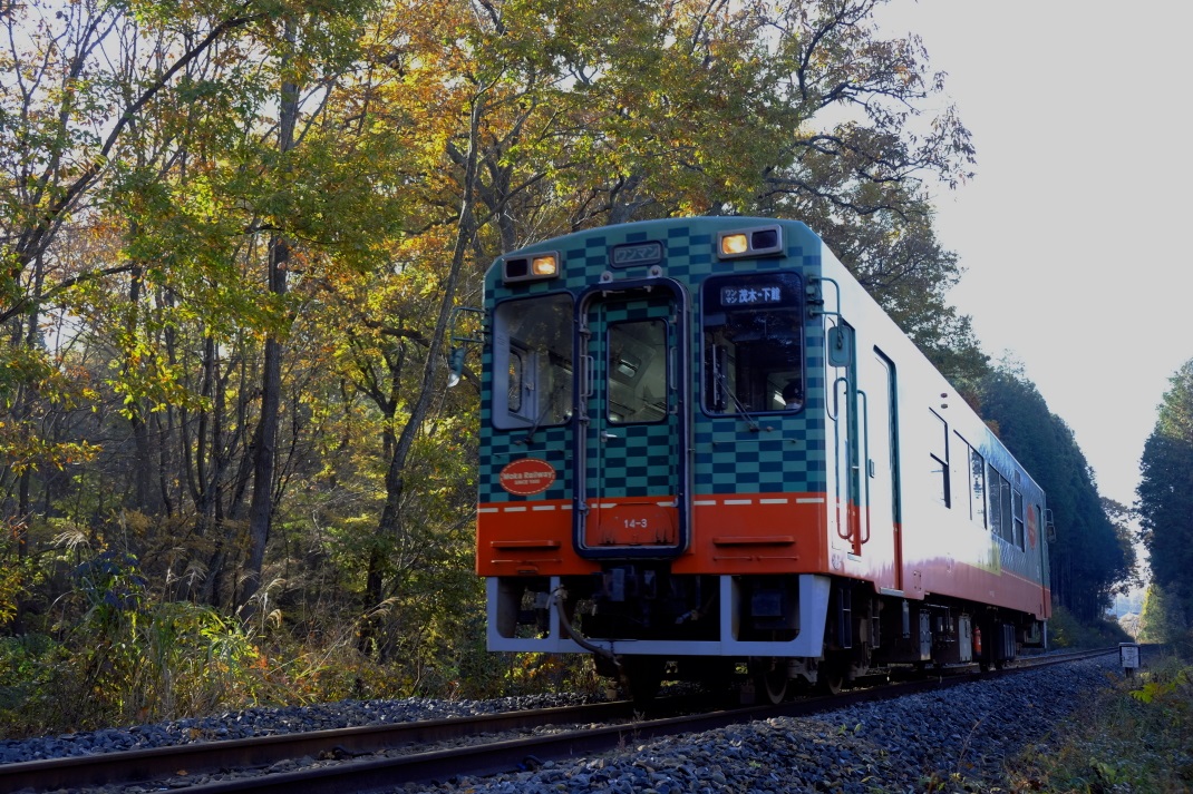 モオカ14形・真岡鉄道　＜２＞　２０１４・１１・２２_e0143883_522418.jpg