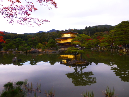 京都府京都シリーズ　　金閣寺の紅葉を愉しむ_b0011584_05444498.jpg