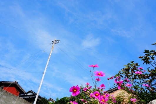 b0328186_02072846.jpg