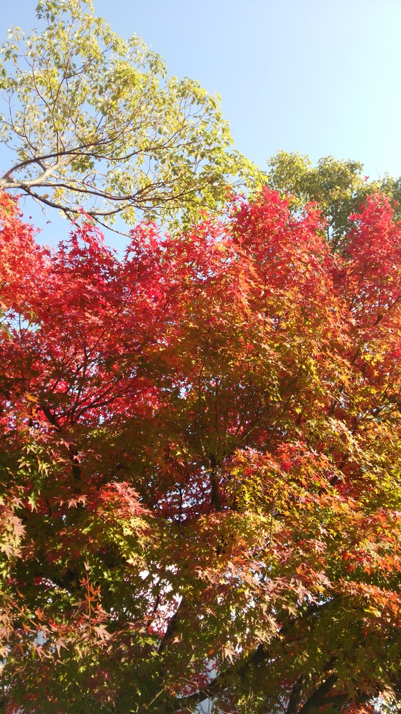 c0191390_18164764.jpg
