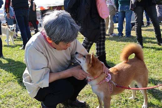 二子玉川里親会　１１月　その２_c0337990_22435331.jpg