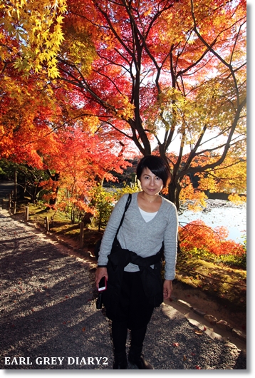 そうだ　京都行こう 　竜のひげ→金閣寺→竜安寺_e0164690_2293374.jpg