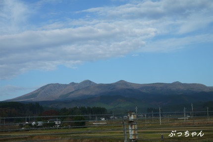 f0353990_17225789.jpg