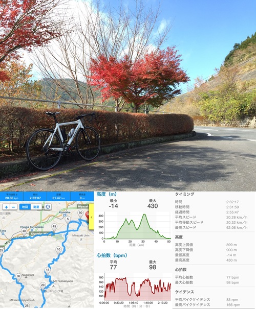 本日の折り返し地点20141123_c0184491_220652.jpg