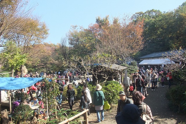 ■　賑わう収穫祭　　　14.11.23_e0070891_2122331.jpg