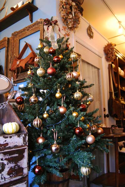 2014☆ダリアシアンのクリスマス_f0155891_13184765.jpg