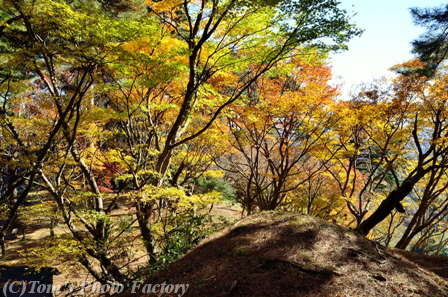 「春日山の紅葉」～本丸跡～甘粕近江守屋敷跡_b0155692_18335571.jpg