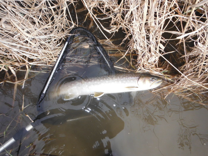 f0348294_09205086.jpg