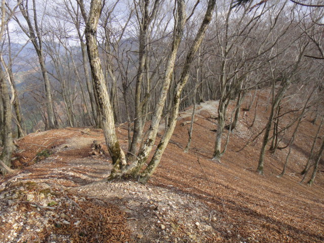 b0108100_10122212.jpg