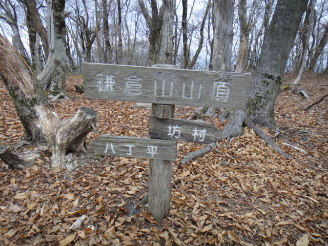 b0108100_8265013.jpg