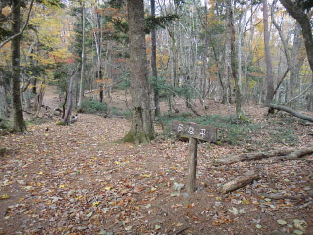b0108100_852141.jpg