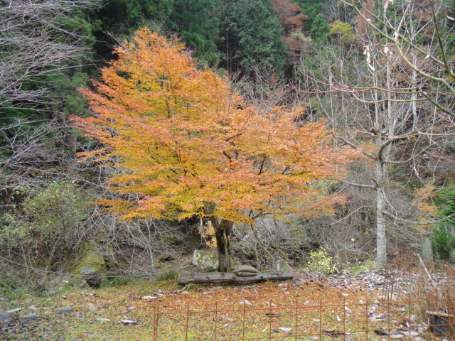 b0108100_9202979.jpg