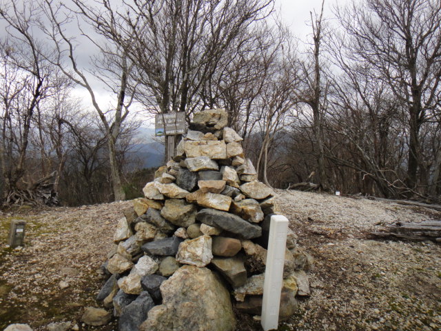 b0108100_935192.jpg