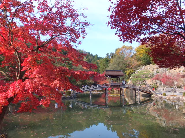 虎渓山永保寺（こけいざん　えいほうじ）の紅葉_a0271502_14583578.jpg