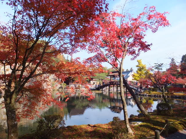 虎渓山永保寺（こけいざん　えいほうじ）の紅葉_a0271502_15223397.jpg