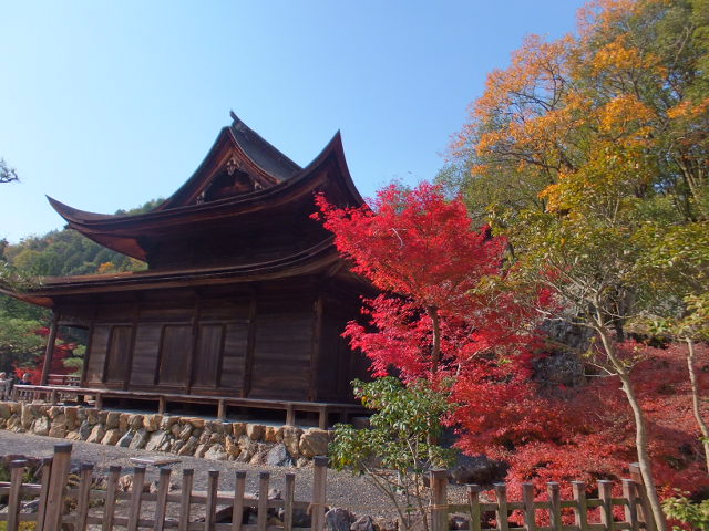 虎渓山永保寺（こけいざん　えいほうじ）の紅葉_a0271502_15261772.jpg