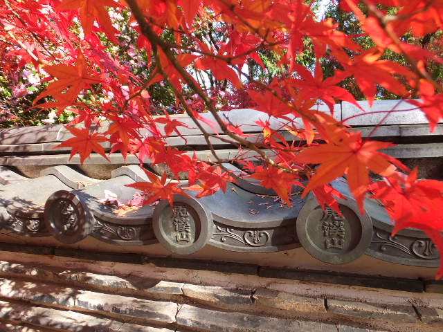 虎渓山永保寺（こけいざん　えいほうじ）の紅葉_a0271502_15335136.jpg