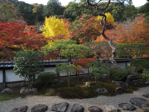 錦の里　正暦寺へ_c0043403_22152617.jpg