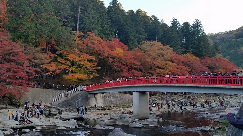 4000本の紅葉・香嵐渓バスツアー!!_d0050503_9372281.jpg