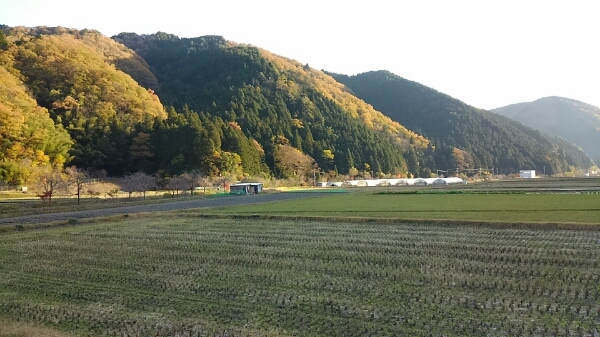 d0306603_1203123.jpg
