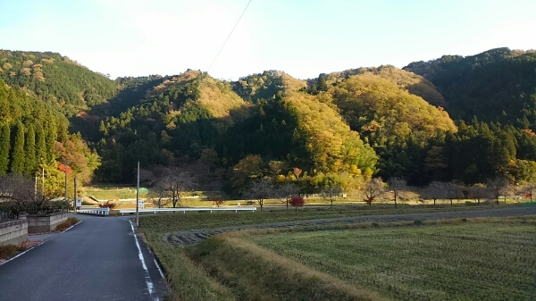 d0306603_142183.jpg