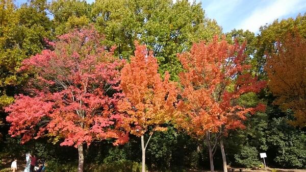 名古屋市守山区　緑地公園_d0306603_17441016.jpg