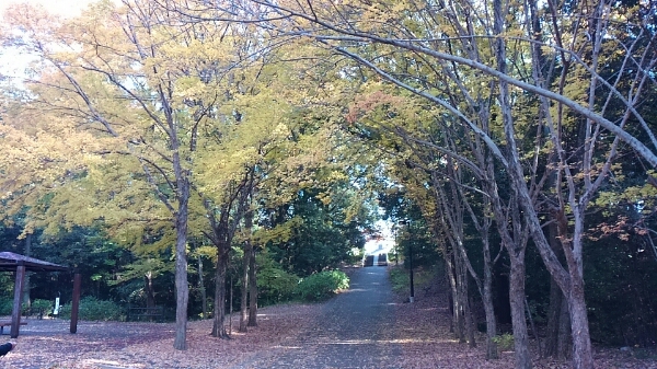 名古屋市守山区　緑地公園_d0306603_17465763.jpg