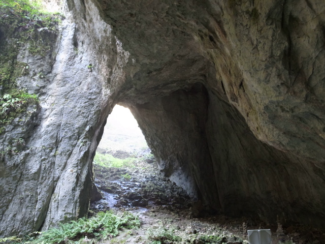 f0197703_15104387.jpg