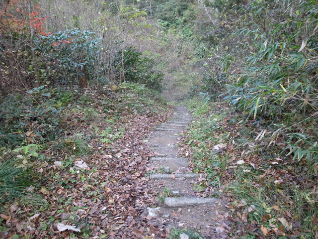 f0197703_1543988.jpg