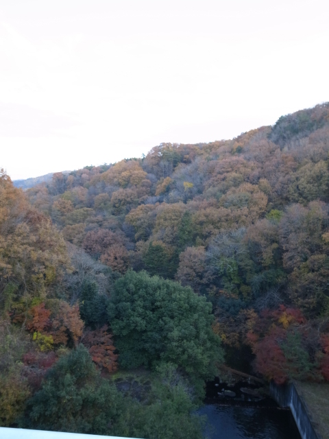 f0197703_1546820.jpg