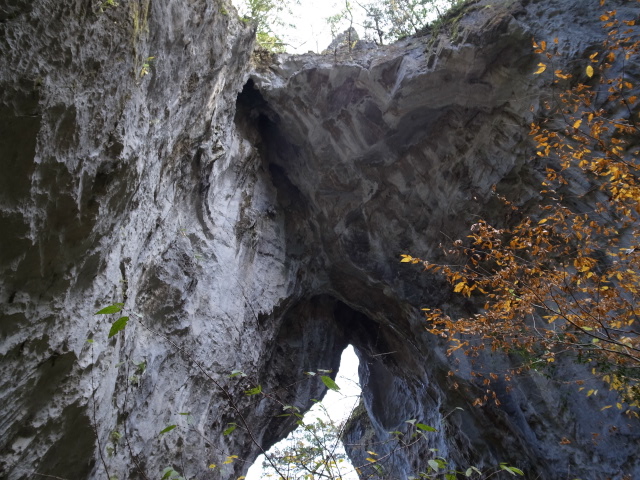 f0197703_1571665.jpg