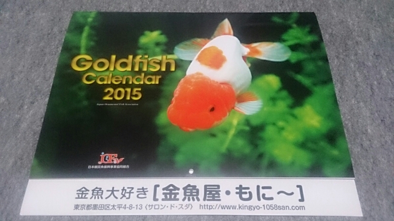 金魚カレンダーGET!!_b0298605_3314277.jpg