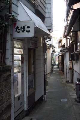 海界の村を歩く 三河湾編  篠島_d0147406_11131127.jpg