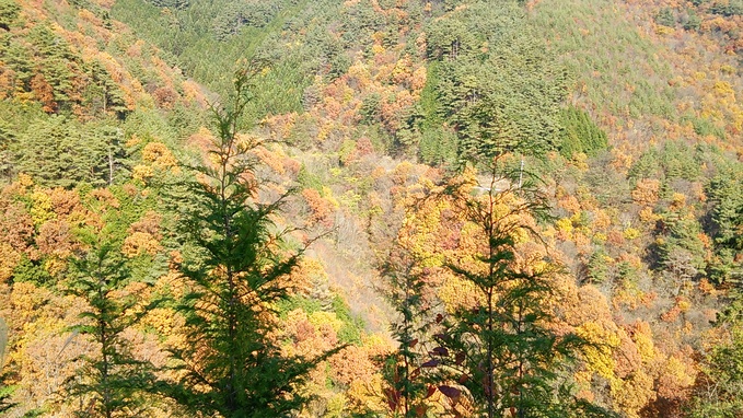 c0030607_15361231.jpg