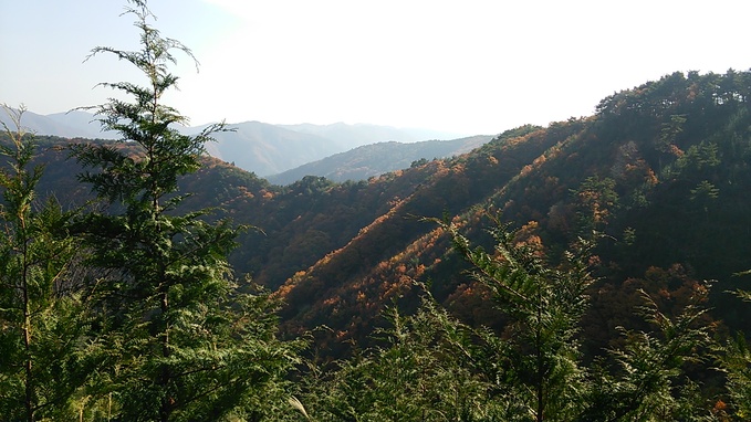 c0030607_15372530.jpg