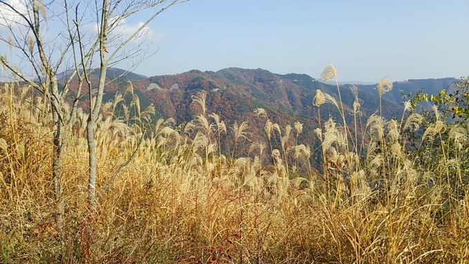c0030607_15383747.jpg