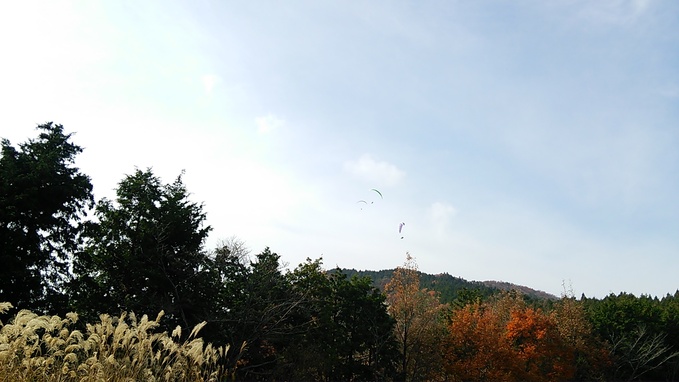 c0030607_15415847.jpg