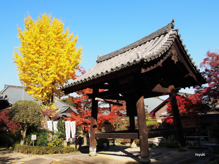 京都八幡市・男山の紅葉_d0226407_20180244.jpg