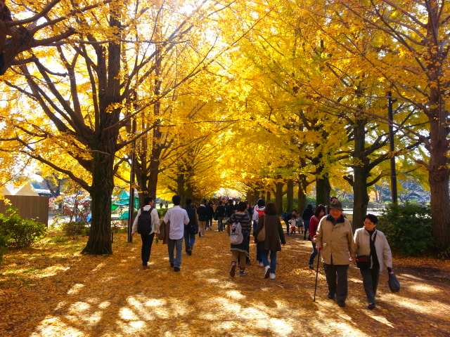 11/22 労使共催ウォーキング大会@立川・昭和記念公園_b0042308_2311872.jpg