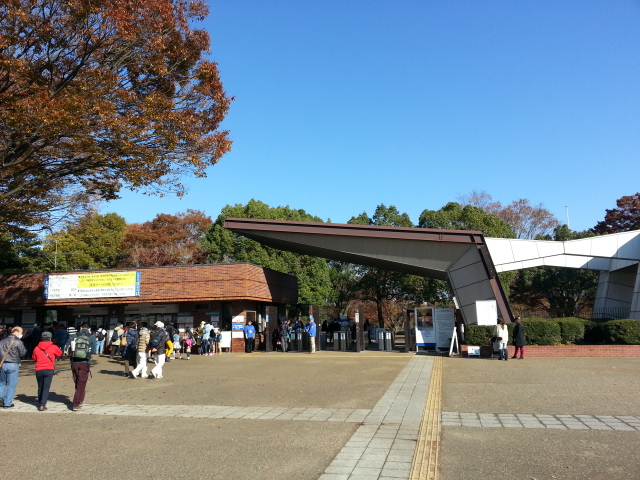 11/22 労使共催ウォーキング大会@立川・昭和記念公園_b0042308_2383730.jpg