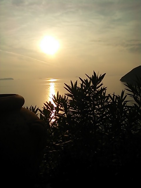 b0190908_07272140.jpg