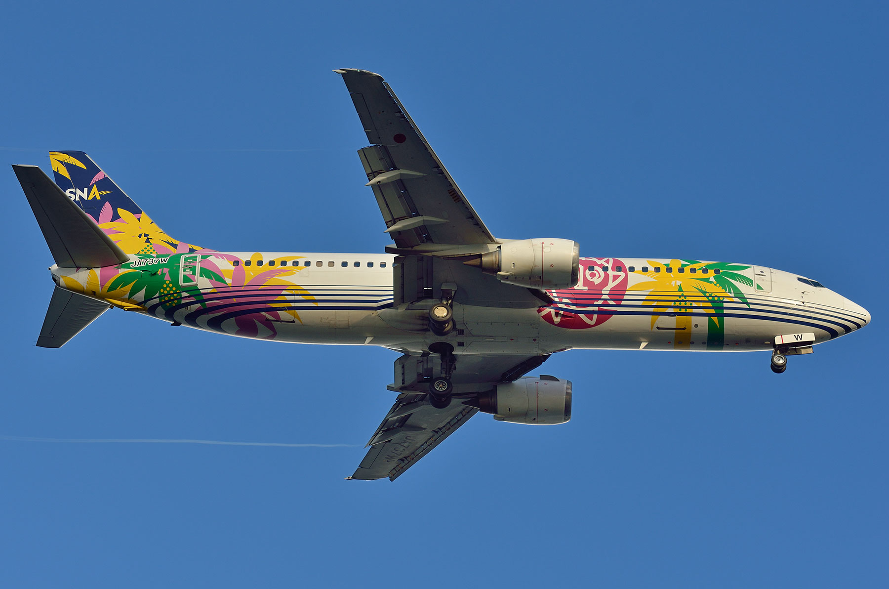 BOEING 737-400 / JA737W_d0226909_9201998.jpg