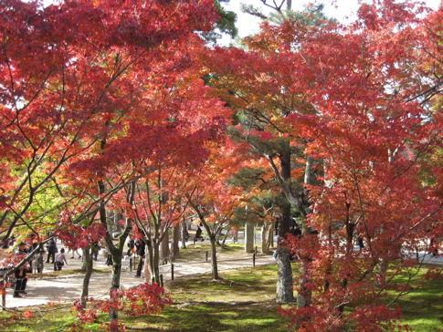 人だらけの紅葉の東福寺_a0164011_21443640.jpg