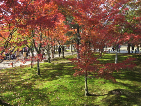 人だらけの紅葉の東福寺_a0164011_2145015.jpg