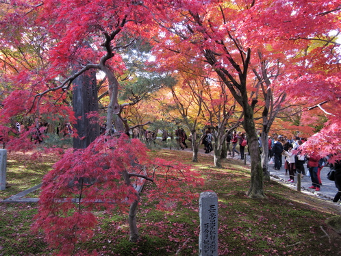 人だらけの紅葉の東福寺_a0164011_21451846.jpg