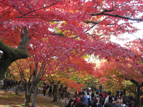 人だらけの紅葉の東福寺_a0164011_21453669.jpg