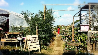 a0194911_12351431.jpg