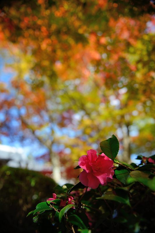 f0032011_813933.jpg