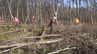 平成26年11月23日(日) 植苗の森 天候:晴れ 参加:12名_c0173813_21125028.jpg