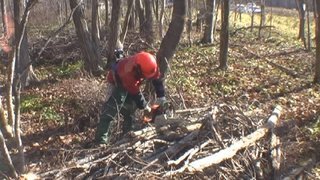 平成26年11月23日(日) 植苗の森 天候:晴れ 参加:12名_c0173813_21212308.jpg